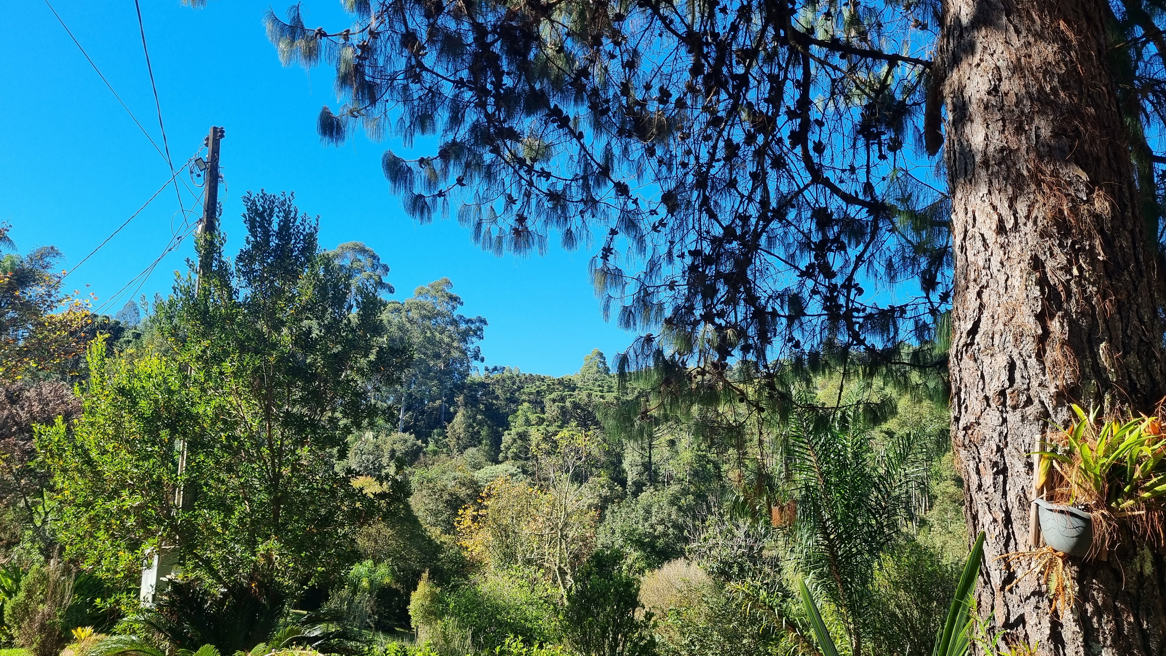 Recanto Bela Manhã
