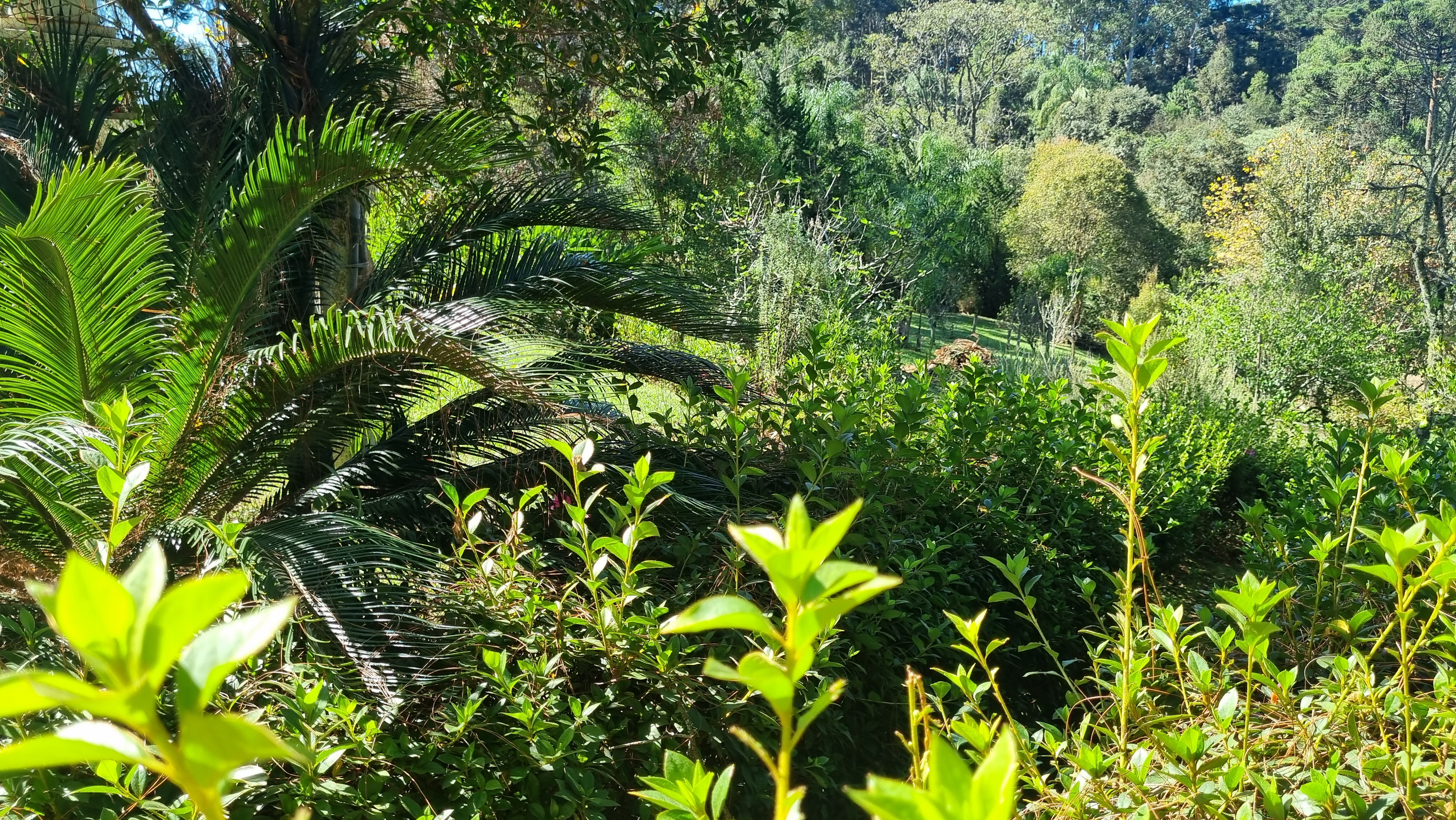 Recanto Bela Manhã